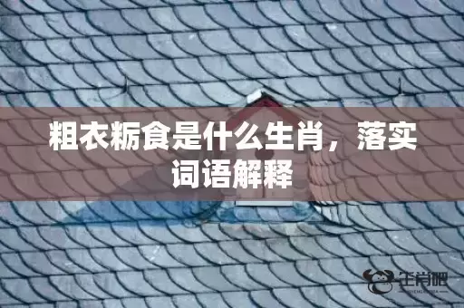 粗衣粝食是什么生肖，落实词语解释