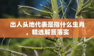 出人头地代表是指什么生肖，精选解答落实