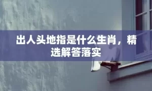 出人头地指是什么生肖，精选解答落实