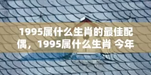 1995属什么生肖的最佳配偶，1995属什么生肖 今年多大了