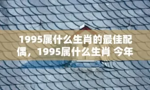 1995属什么生肖的最佳配偶，1995属什么生肖 今年多大了