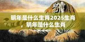 明年是什么生肖2025生肖，明年是什么生肖