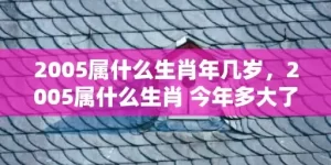 2005属什么生肖年几岁，2005属什么生肖 今年多大了