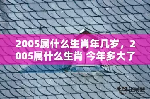 2005属什么生肖年几岁，2005属什么生肖 今年多大了