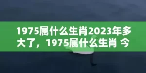 1975属什么生肖2023年多大了，1975属什么生肖 今年多大了