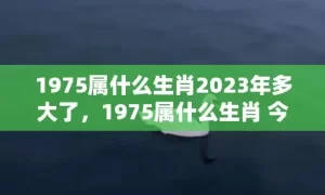 1975属什么生肖2023年多大了，1975属什么生肖 今年多大了