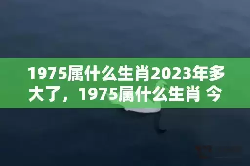1975属什么生肖2023年多大了，1975属什么生肖 今年多大了