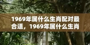 1969年属什么生肖配对最合适，1969年属什么生肖