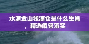 水满金山钱满仓是什么生肖，精选解答落实