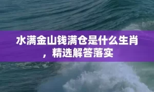 水满金山钱满仓是什么生肖，精选解答落实