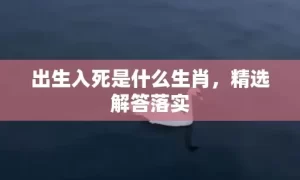 出生入死是什么生肖，精选解答落实