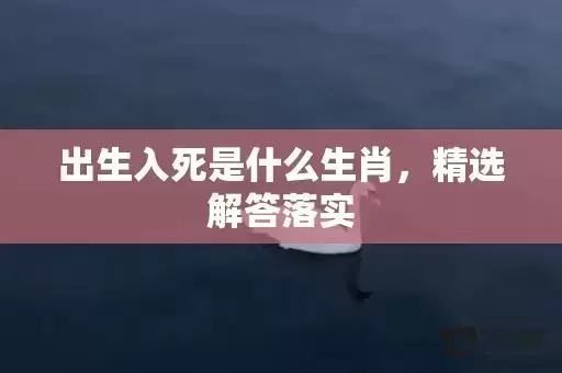 出生入死是什么生肖，精选解答落实
