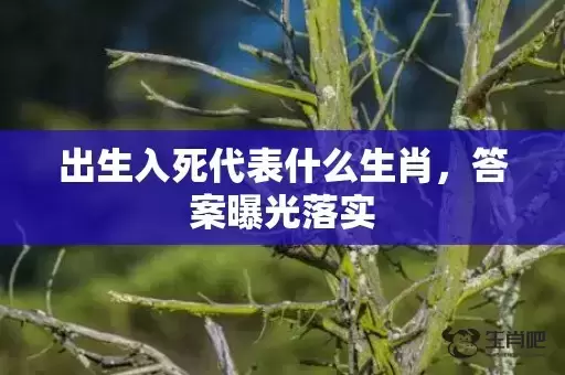 出生入死代表什么生肖,答案曝光落实 出生入死代表什么生肖,答案曝光落实