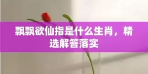 飘飘欲仙指是什么生肖，精选解答落实