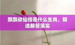 飘飘欲仙指是什么生肖，精选解答落实