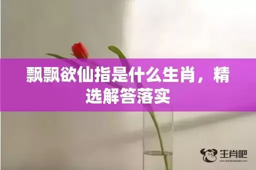 飘飘欲仙指是什么生肖，精选解答落实