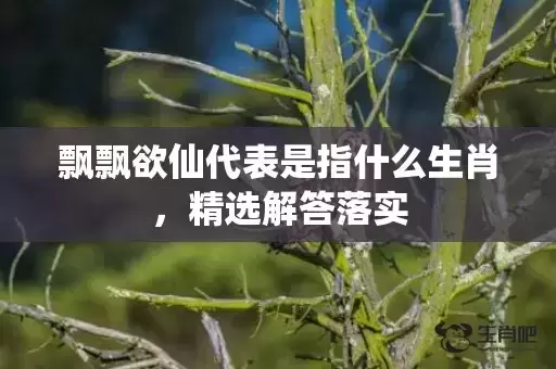 飘飘欲仙代表是指什么生肖,精选解答落实 飘飘欲仙代表是指什么生肖,精选解答落实