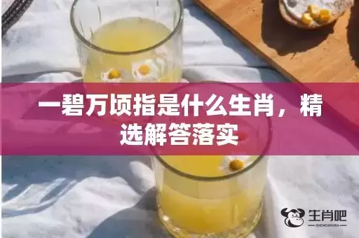 一碧万顷指是什么生肖，精选解答落实