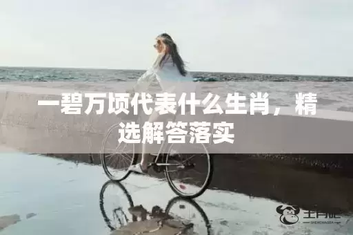 一碧万顷代表什么生肖，精选解答落实
