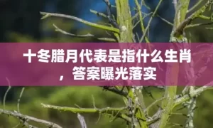 十冬腊月代表是指什么生肖，答案曝光落实