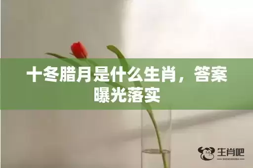 十冬腊月是什么生肖,答案曝光落实 十冬腊月是什么生肖,答案曝光落实