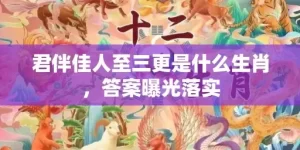 君伴佳人至三更是什么生肖，答案曝光落实