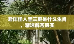 君伴佳人至三更是什么生肖，精选解答落实