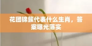 花团锦簇代表什么生肖，答案曝光落实