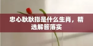 忠心耿耿指是什么生肖，精选解答落实