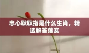 忠心耿耿指是什么生肖，精选解答落实