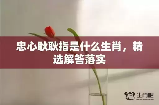 忠心耿耿指是什么生肖,精选解答落实 忠心耿耿指是什么生肖,精选解答落实