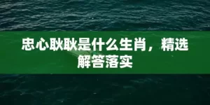 忠心耿耿是什么生肖，精选解答落实