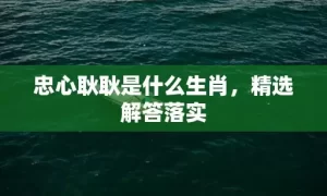 忠心耿耿是什么生肖，精选解答落实