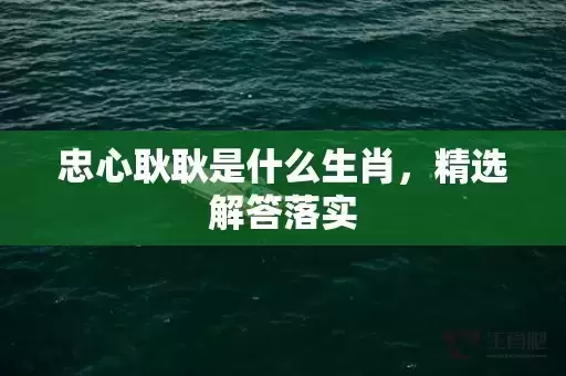 忠心耿耿是什么生肖,精选解答落实 忠心耿耿是什么生肖,精选解答落实