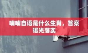 喃喃自语是什么生肖，答案曝光落实