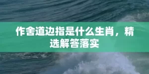 作舍道边指是什么生肖，精选解答落实