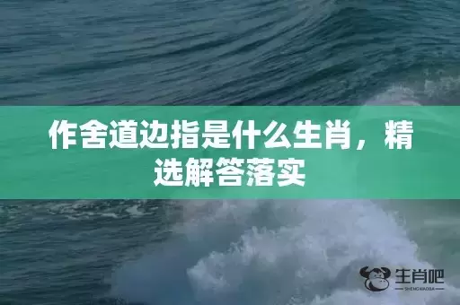 作舍道边指是什么生肖,精选解答落实 作舍道边指是什么生肖,精选解答落实