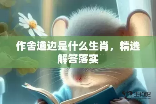 作舍道边是什么生肖，精选解答落实