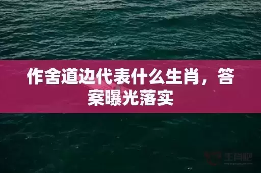 作舍道边代表什么生肖，答案曝光落实