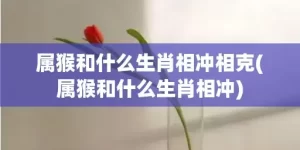 属猴和什么生肖相冲相克(属猴和什么生肖相冲)