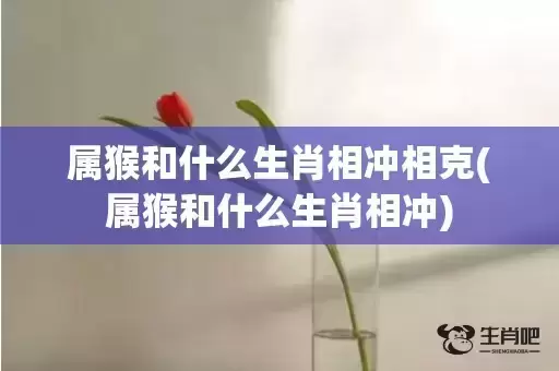 属猴和什么生肖相冲相克(属猴和什么生肖相冲)