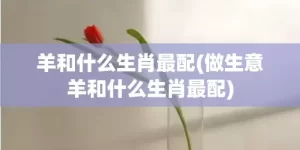 羊和什么生肖最配(做生意羊和什么生肖最配)