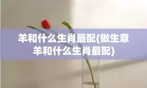 羊和什么生肖最配(做生意羊和什么生肖最配)