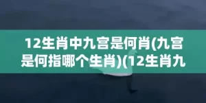 12生肖中九宫是何肖(九宫是何指哪个生肖)(12生肖九宫是什么教)