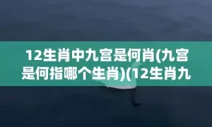 12生肖中九宫是何肖(九宫是何指哪个生肖)(12生肖九宫是什么教)