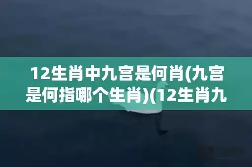 12生肖中九宫是何肖(九宫是何指哪个生肖)(12生肖九宫是什么教) 12生肖中九宫是何肖(九宫是何指哪个生肖)(12生肖九宫是什么教)
