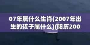 07年属什么生肖(2007年出生的孩子属什么)(阳历2007年属什么生肖)