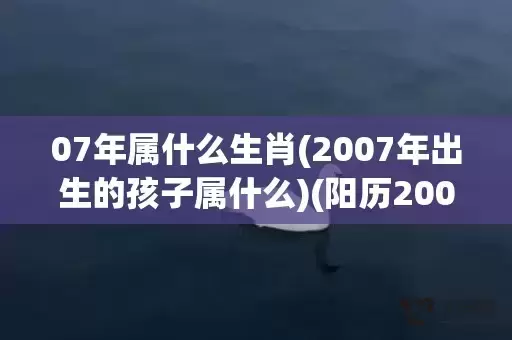 07年属什么生肖(2007年出生的孩子属什么)(阳历2007年属什么生肖) 07年属什么生肖(2007年出生的孩子属什么)(阳历2007年属什么生肖)