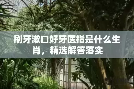 刷牙漱口好牙医指是什么生肖,精选解答落实 刷牙漱口好牙医指是什么生肖,精选解答落实