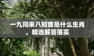 一九同来八知音是什么生肖，精选解答落实